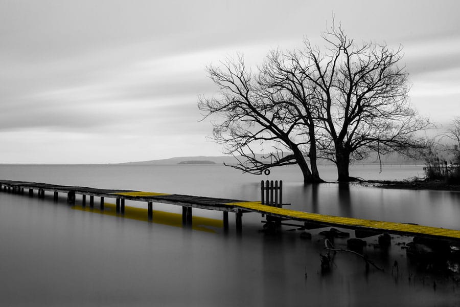 Black-&-White