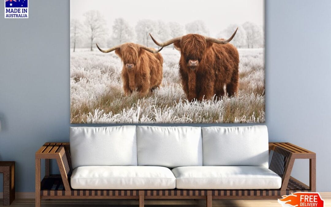 Highland Cows in Snow Forest Photograph Print 100% Australian Made