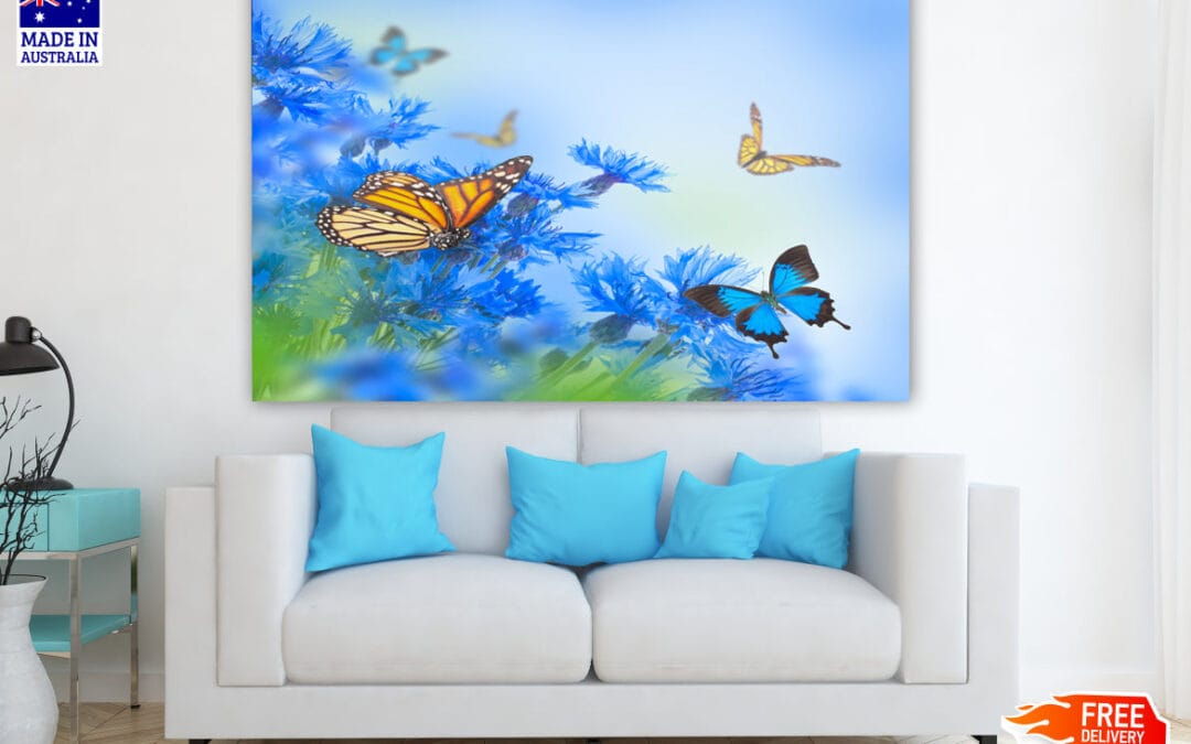 Flower & Butterflies Photograph Print 100% Australian Made