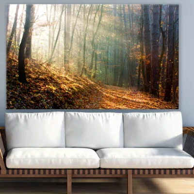 Autumn Forest Photograph Print 100% Australian Made