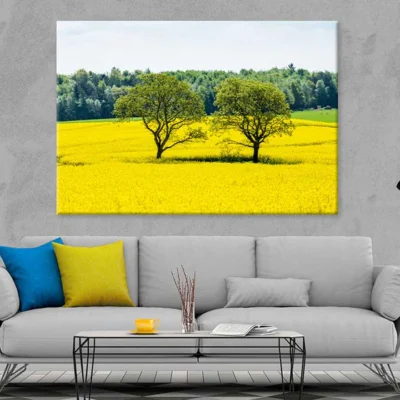 Trees on Yellow Flower Field Scenery Photograph Print 100% Australian Made