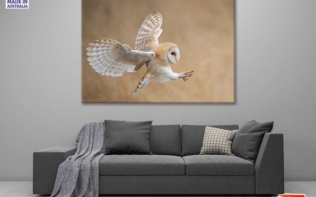 White & Beige Barn Owl Flying Print 100% Australian Made