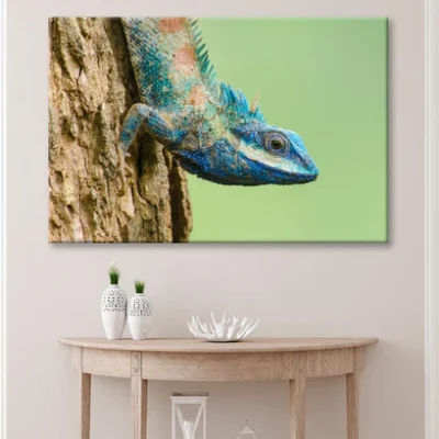 Lue Lizard with Big Eyes in Closed Up Details Wall Art Decor 100% Australian Made