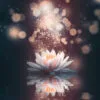 White Flower Floating in The Water with Sparkles Wall Art Decor 100% Australian Made - Image 3