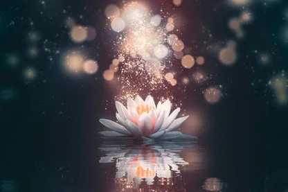 White Flower Floating in The Water with Sparkles Wall Art Decor 100% Australian Made - Image 3