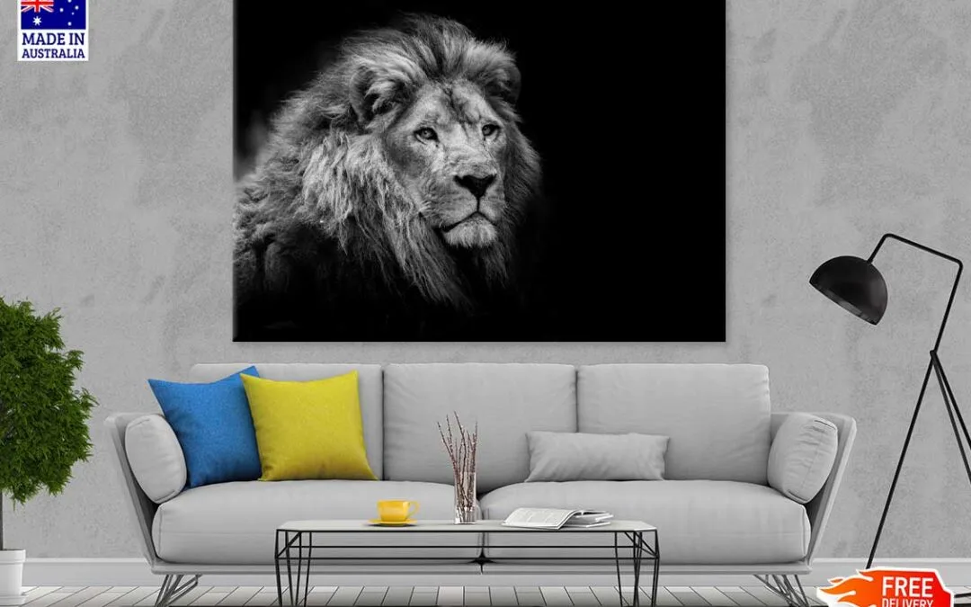 Lion on Dark B&W Photograph Print 100% Australian Made