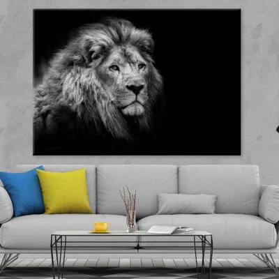 Lion on Dark B&W Photograph Print 100% Australian Made