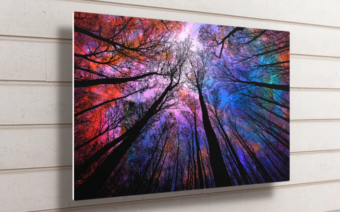 Tree Canopy Night Sky UV Direct Aluminum Print Australian Made Quality