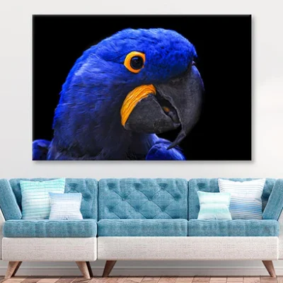 Close-Up Of a Parrot Head with Black Background Wall Art Decor 100% Australian Made