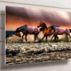 Horses In Ocean UV Direct Aluminum Print Australian Made Quality