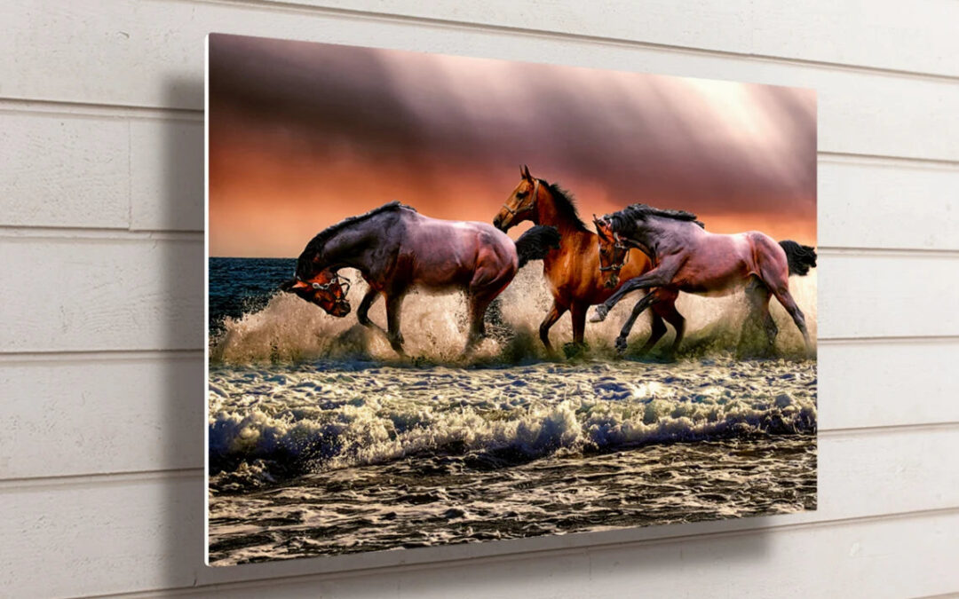 Horses In Ocean UV Direct Aluminum Print Australian Made Quality