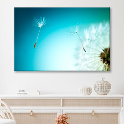Dandelion Blowing in The Wind with A Blue Sky Wall Art Decor 100% Australian Made