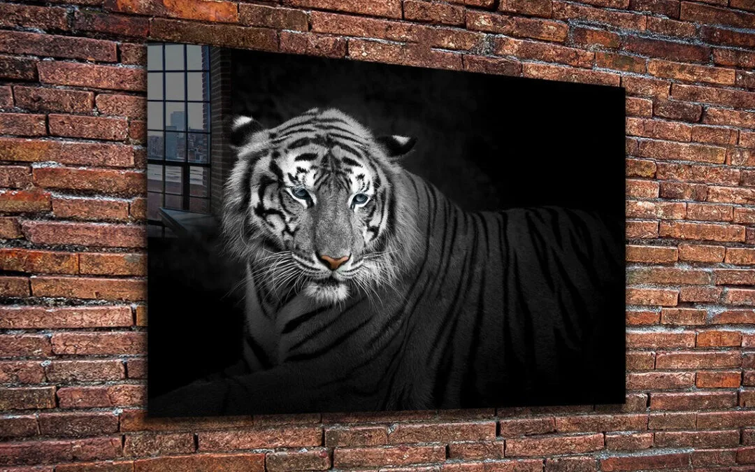 B&W Tiger Closeup View Print Tempered Glass Wall Art 100% Made in Australia Ready to Hang