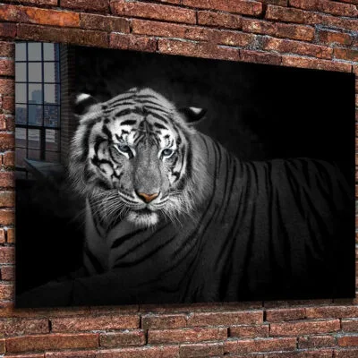 B&W Tiger Closeup View Print Tempered Glass Wall Art 100% Made in Australia Ready to Hang