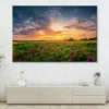 Sun Set Landscape with A Wild Field Full of Purple Flowers Wall Art Decor 100% Australian Made