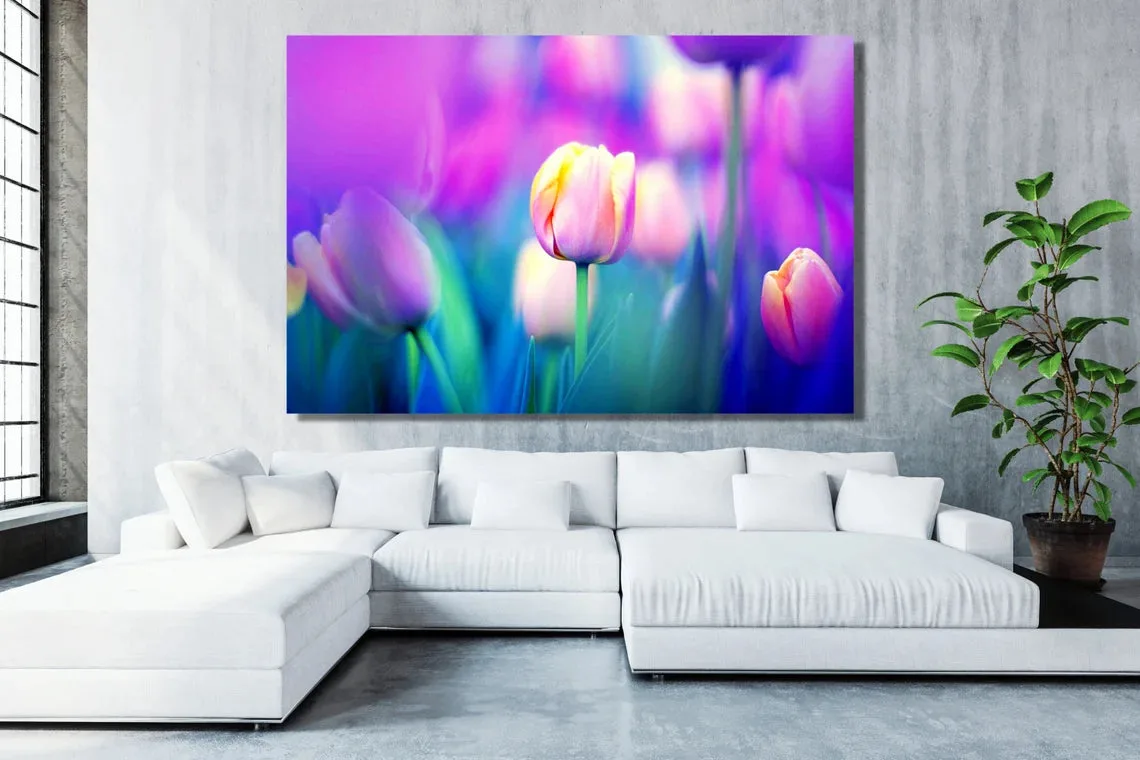 Tulip Flower UV Direct Aluminum Print Australian Made Quality - Image 2