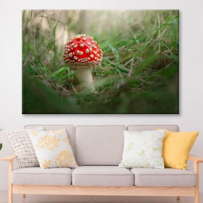 Amanita Muscaria. Close-Up Of Fly Agaric Close-Up Of Toadstool on Grass Wall Art Decor 100% Australian Made
