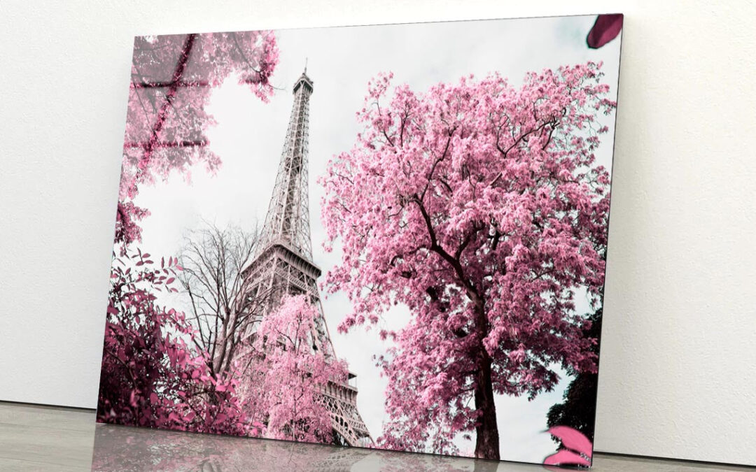 Pink Tree In Front of The Eiffel Tower Acrylic Glass Print Tempered Glass Wall Art 100% Made in Australia Ready to Hang