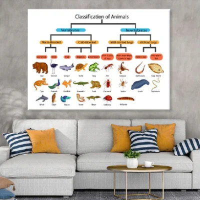 Chart of Biology Animals Diagram Vector Art Print 100% Australian Made