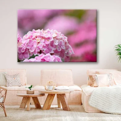 Bella Home Pink Hydrangea Flowers Photograph Print Canvas Ready to hang