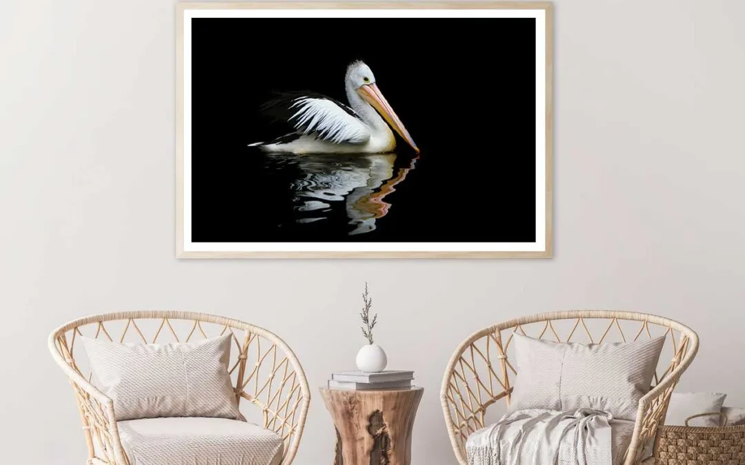 Australia Pelican Sea Bird View Photograph Home Decor Premium Quality Poster Print Choose Your Sizes