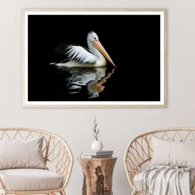 Australia Pelican Sea Bird View Photograph Home Decor Premium Quality Poster Print Choose Your Sizes