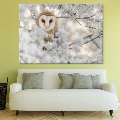 Barn Owl Wrapped by Flowers View Photograph Print 100% Australian Made