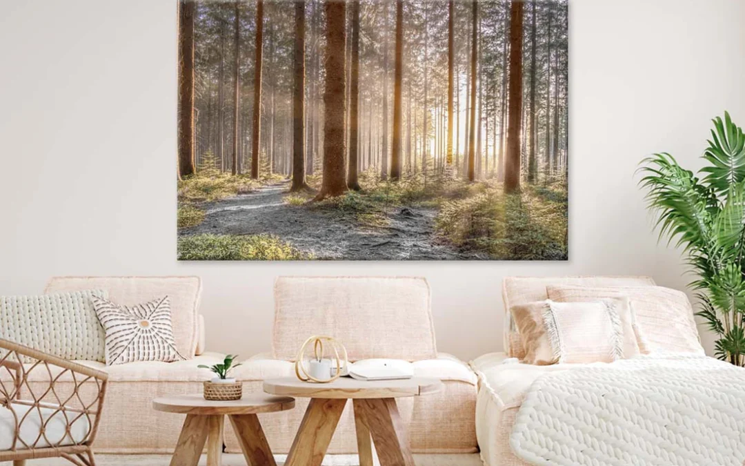 Forest with Sun Rays 100% Australian Made