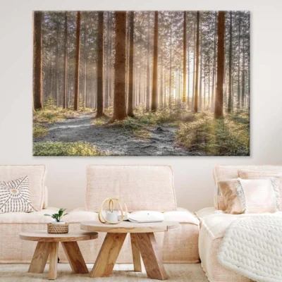 Forest with Sun Rays 100% Australian Made