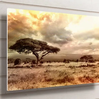 African Savannah Sunset UV Direct Aluminum Print Australian Made Quality