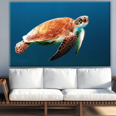 Turtle Swimming in Sea Photograph Print 100% Australian Made
