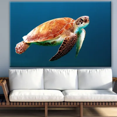 Turtle Swimming in Sea Photograph Print 100% Australian Made
