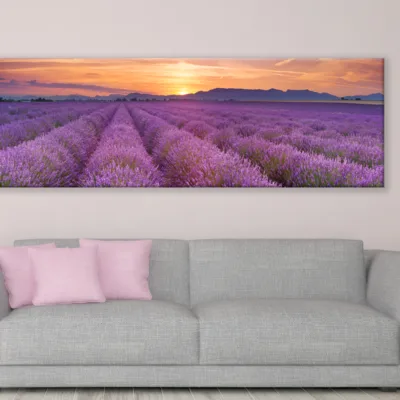 Panoramic Canvas Lavender Field High Quality 100% Australian made wall Canvas Print ready to hang