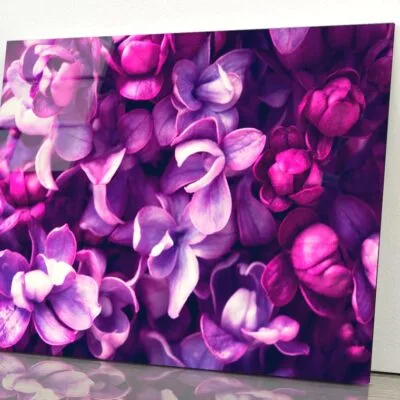 Purple Lilac Flowers Background Acrylic Glass Print Tempered Glass Wall Art 100% Made in Australia Ready to Hang