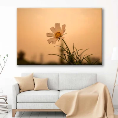 Bella Home Closeup View of Daisy Flower Print Canvas Ready to hang