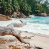 Rocks And Palm Trees Along the Shore, Seychelles Wall Art Decor 100% Australian Made - Image 3