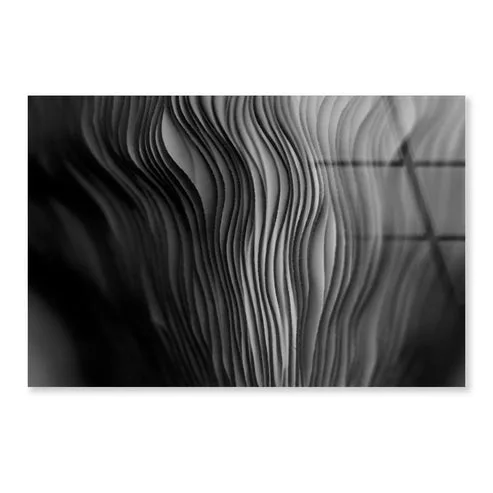Close Up of a Black and White Photo of a Plant Acrylic Glass Print Tempered Glass Wall Art 100% Made in Australia Ready to Hang - Image 4