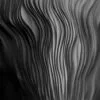 Close Up of a Black and White Photo of a Plant Acrylic Glass Print Tempered Glass Wall Art 100% Made in Australia Ready to Hang - Image 5