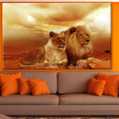 Lion Couple Photograph Print 100% Australian Made