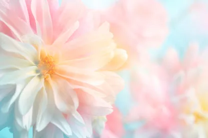 Flowers With Soft Colored Filters Applied, That Are Suitable for Usage as Background Acrylic Glass Print Tempered Glass Wall Art 100% Made in Australia Ready to Hang - Image 5