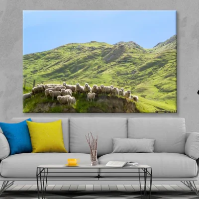 Flock Of Sheep Standing on Knoll With New Zealand Wall Art Decor 100% Australian Made