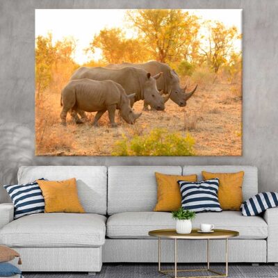 Rhinos in Forest View Photograph Print 100% Australian Made