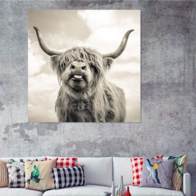 Fanatic cow popular Print 100% Australian Made