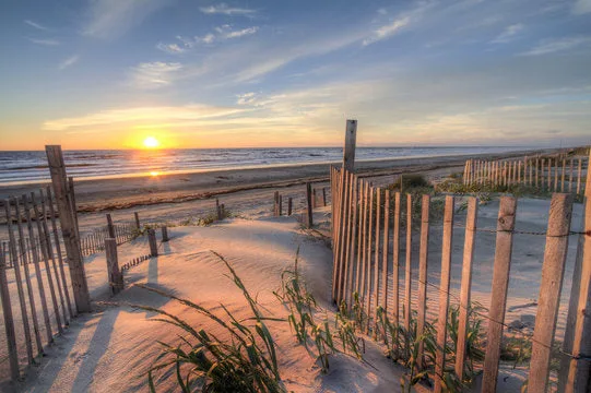 Wooden Path to Sea Sunset View Print 100% Australian Made - Image 2