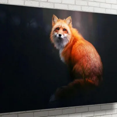 Fox View UV Direct Aluminum Print Australian Made Quality