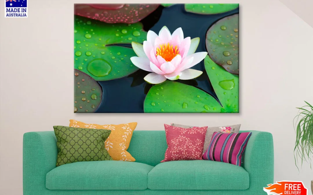 Pink Water Lily in A Pond with Green Leaves Wall Art Decor 100% Australian Made