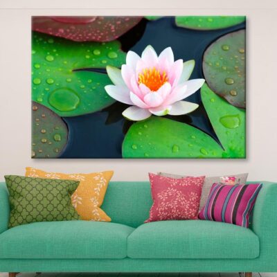 Pink Water Lily in A Pond with Green Leaves Wall Art Decor 100% Australian Made