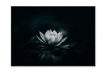 White Flower Is Sitting on A Black Surface Home Decor Premium Quality Poster Print Choose Your Sizes - Image 3