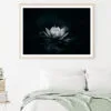 White Flower Is Sitting on A Black Surface Home Decor Premium Quality Poster Print Choose Your Sizes - Image 2