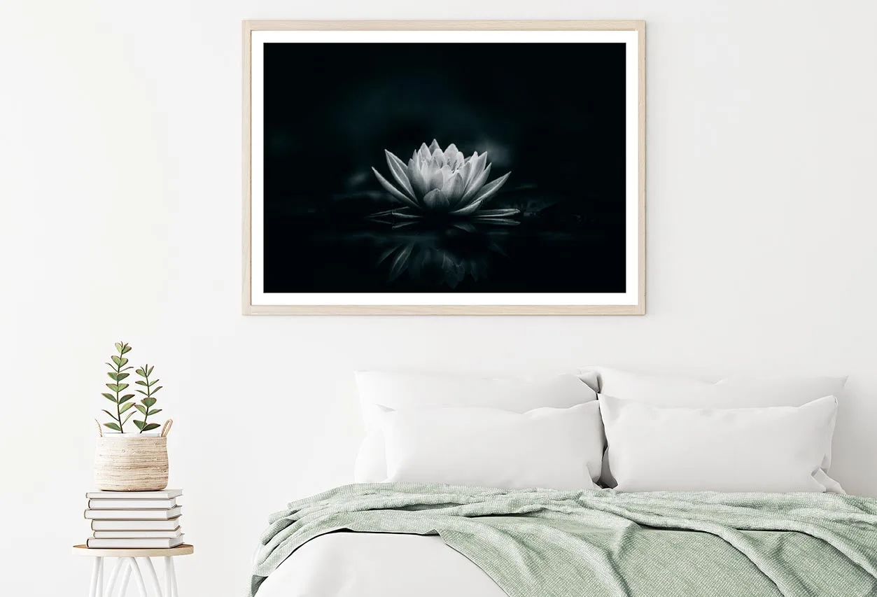 White Flower Is Sitting on A Black Surface Home Decor Premium Quality Poster Print Choose Your Sizes - Image 2